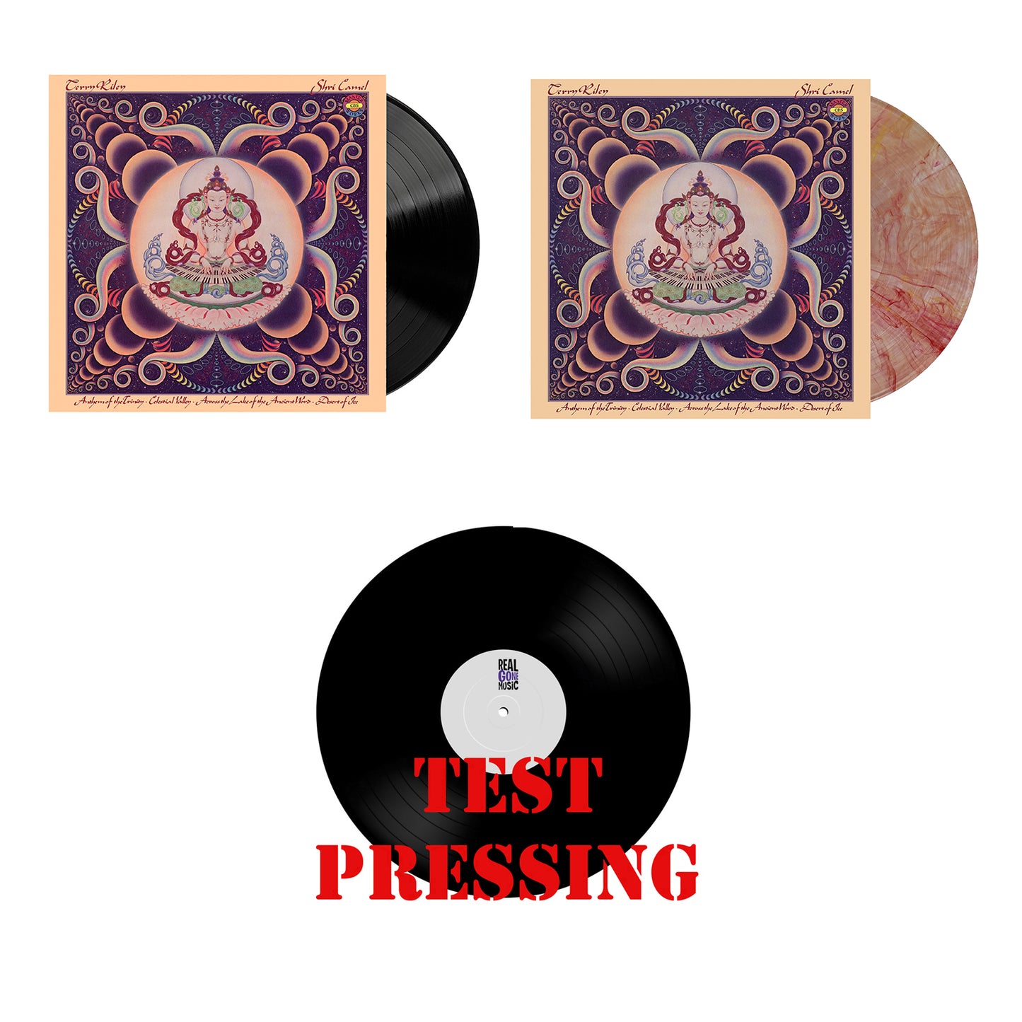 Terry Riley Shri Camel LP Bundle