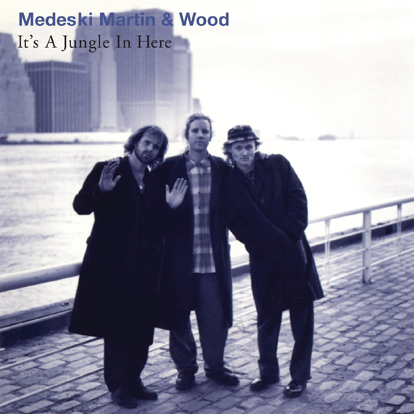 Medeski, Martin & Wood It's a Jungle LP
