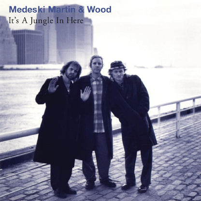 Medeski, Martin & Wood It's a Jungle LP
