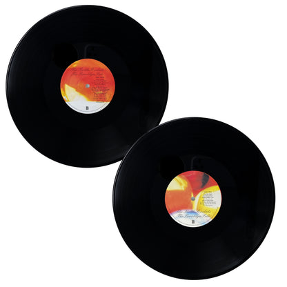 The Bottle Rockets The Brooklyn Side (All-Analog Expanded 2-LP Vinyl Edition)